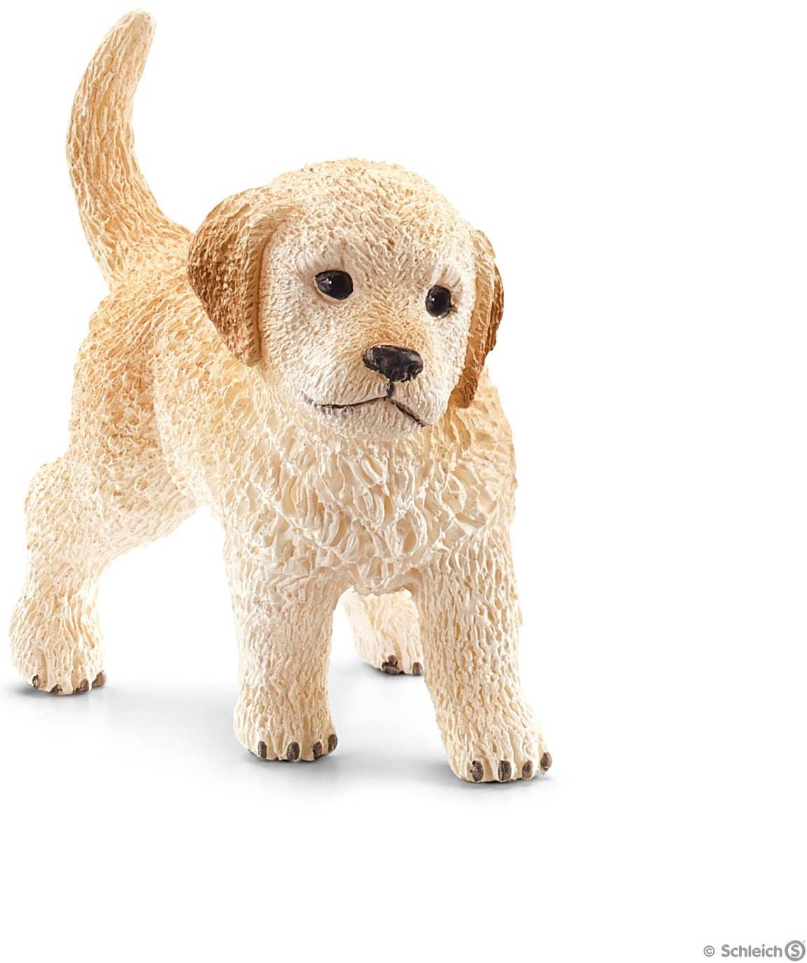 Golden Retriever Puppy-Kidding Around NYC
