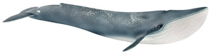 Blue Whale-Kidding Around NYC