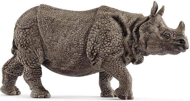 Indian Rhinoceros-Kidding Around NYC