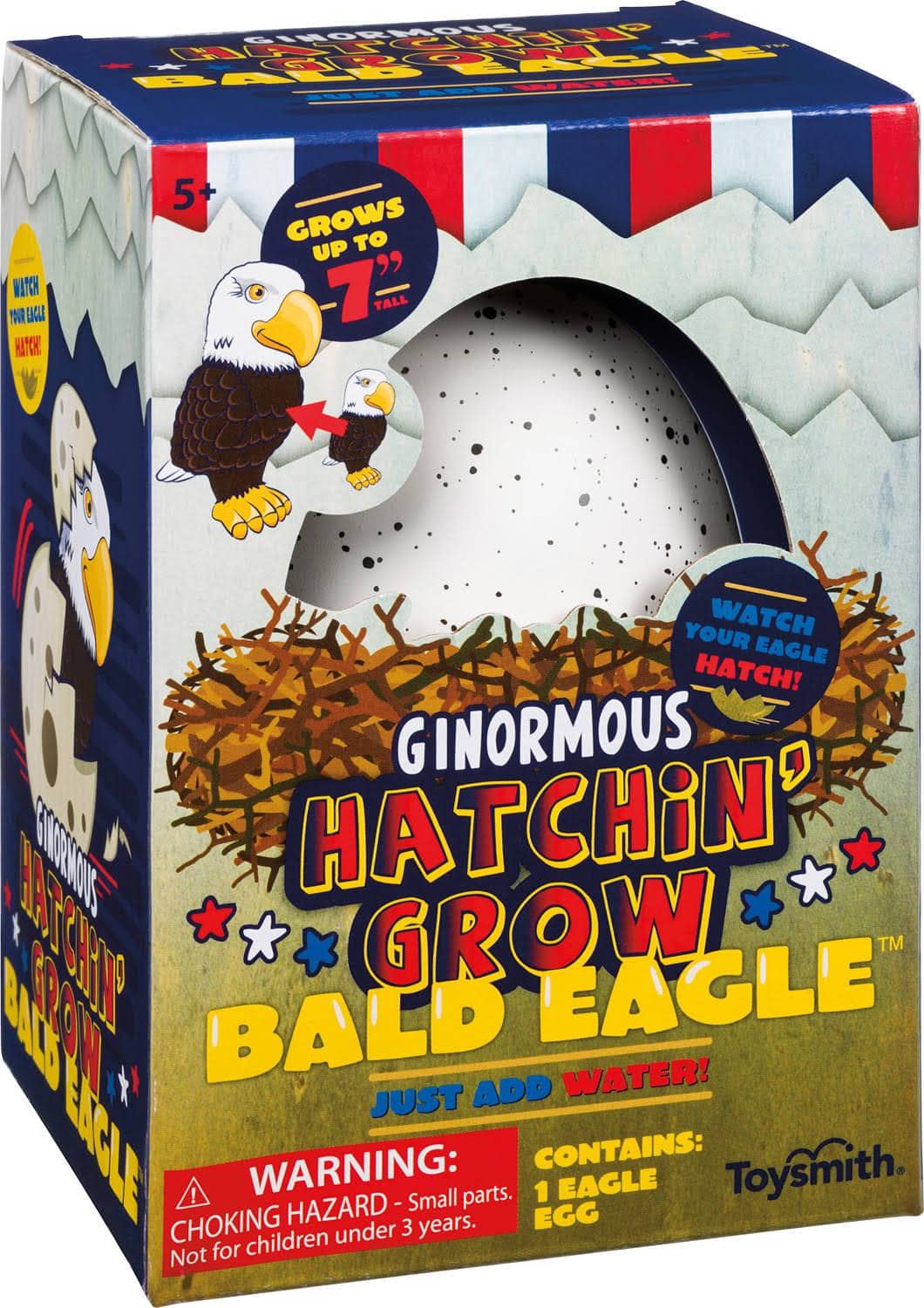 Hatchin Grow Bald Eagle-Kidding Around NYC