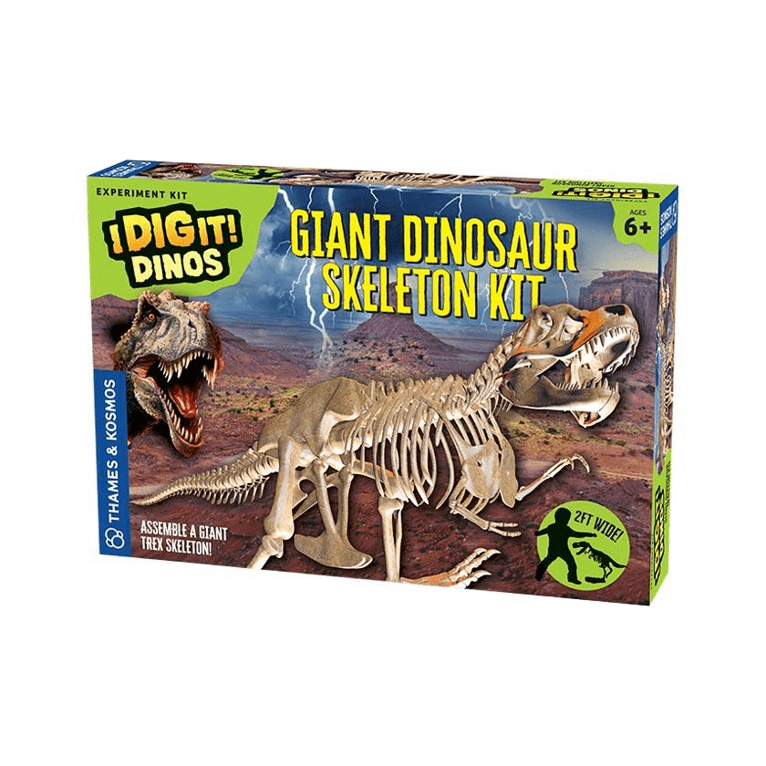 I Dig It!: Giant Dinosaur Skeleton Kit-Kidding Around NYC