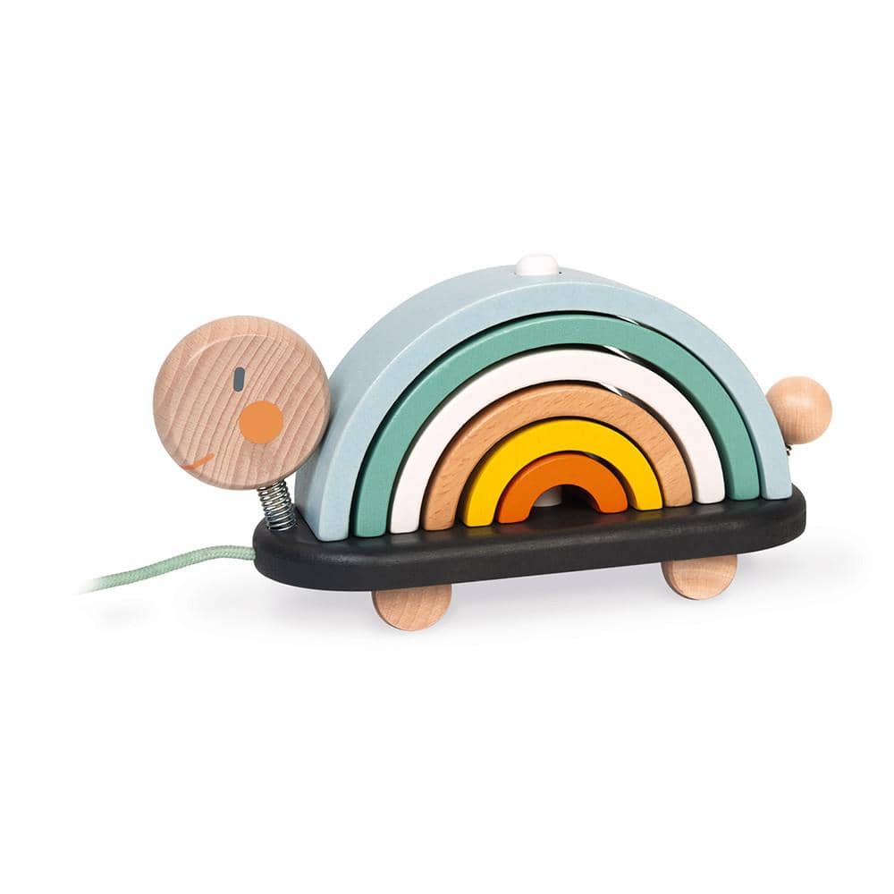 Rainbow Turtle